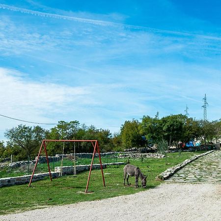 Dalmatian Country House Irena Bruska المظهر الخارجي الصورة