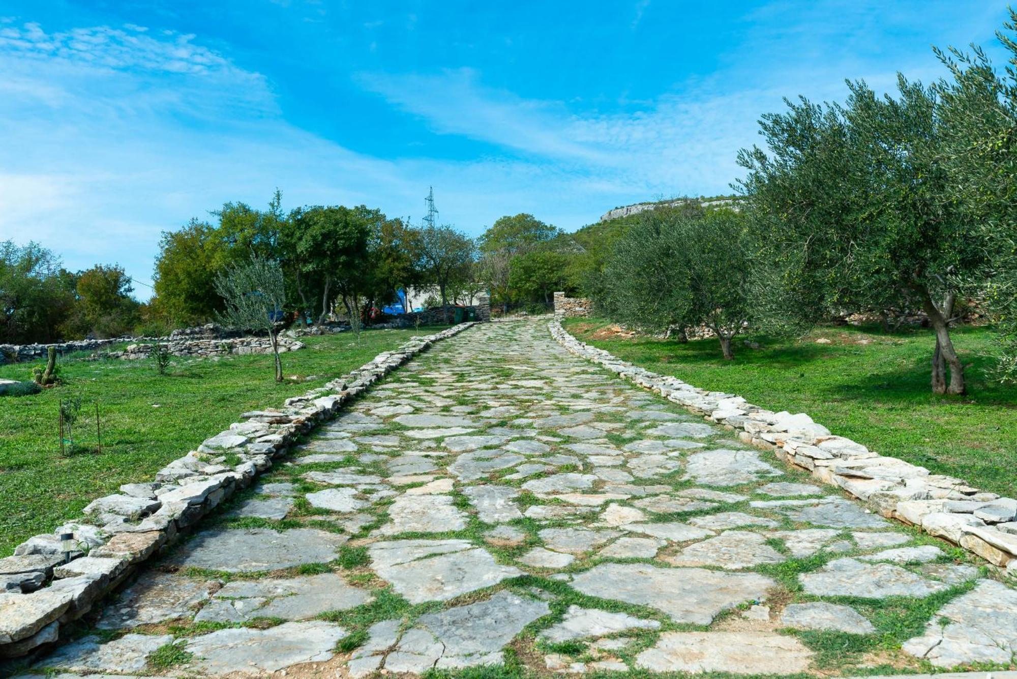 Dalmatian Country House Irena Bruska المظهر الخارجي الصورة