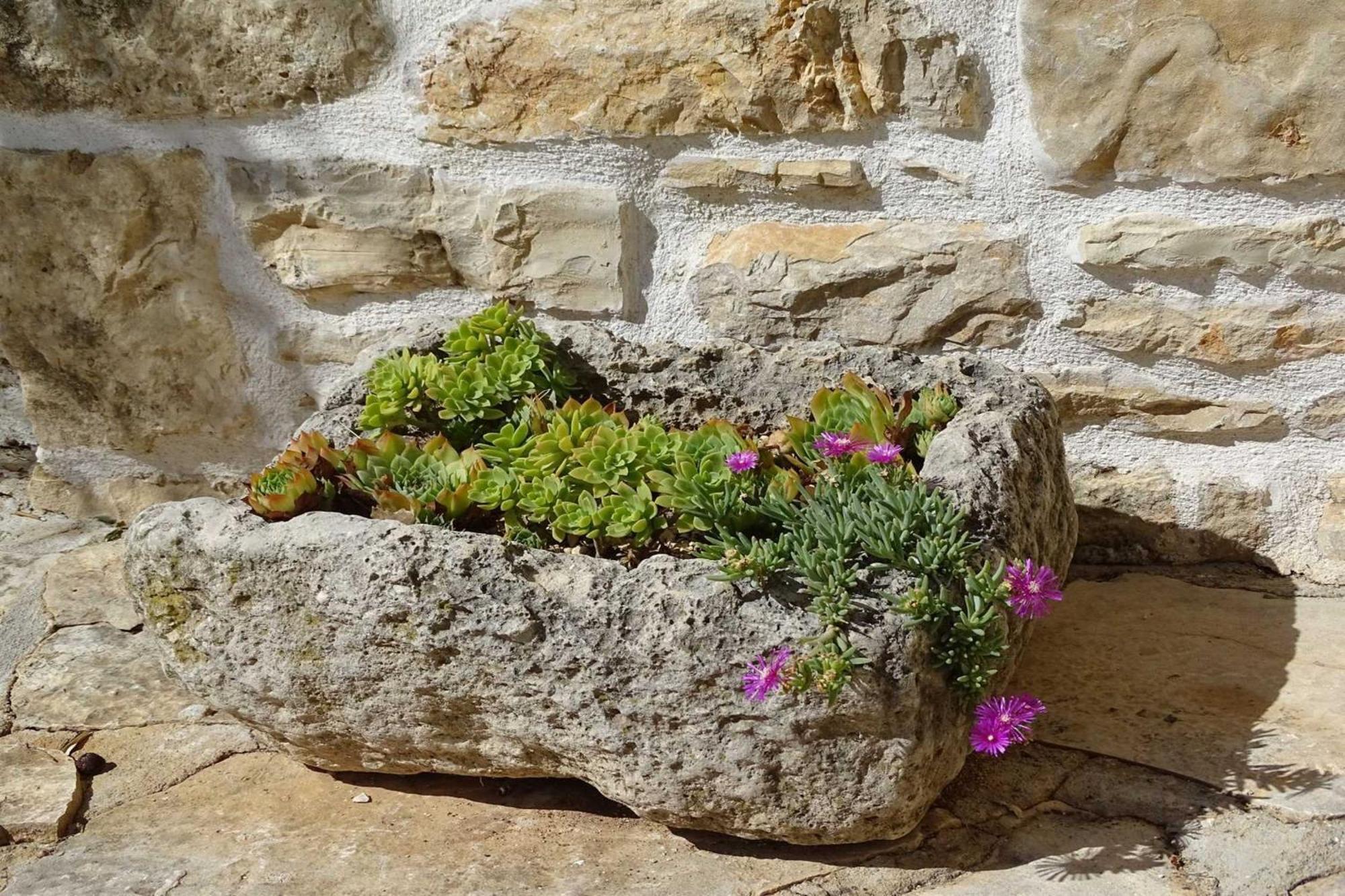 Dalmatian Country House Irena Bruska المظهر الخارجي الصورة
