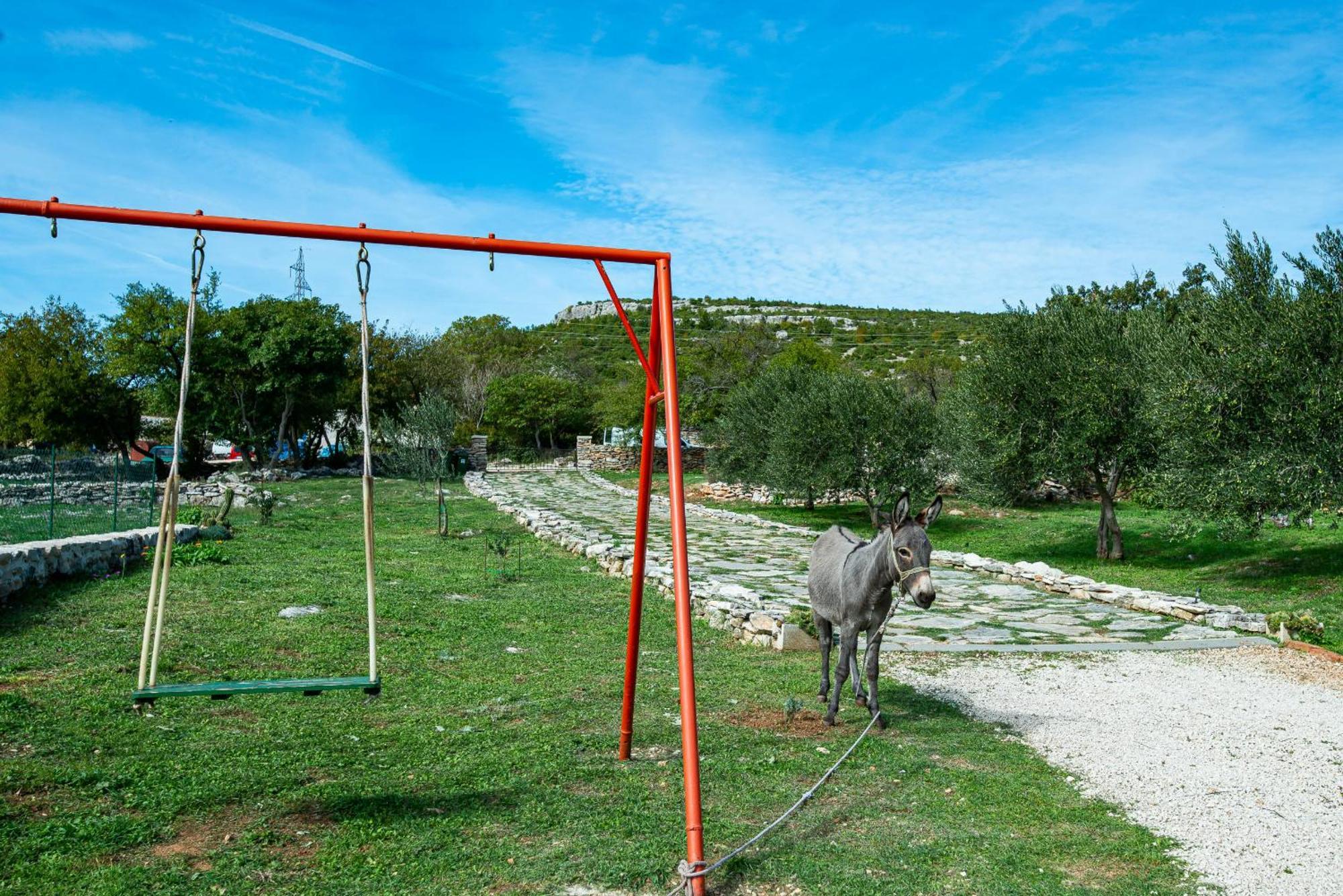 Dalmatian Country House Irena Bruska المظهر الخارجي الصورة