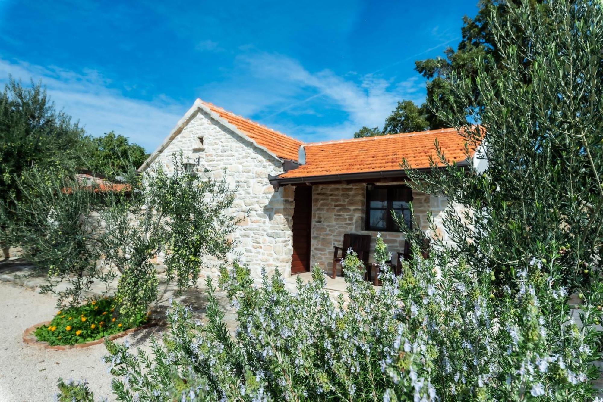 Dalmatian Country House Irena Bruska المظهر الخارجي الصورة
